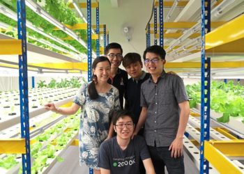 The CityFarm Malaysia team: (from left) Niew Ley Koon, Looi Choon Beng, Jayden Koay, Low Cheng Yang and (centre) Chew Jo Han. — CityFarm Malaysia