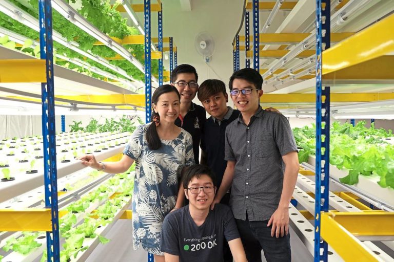 doc79iups2t3b91eoeswaa1