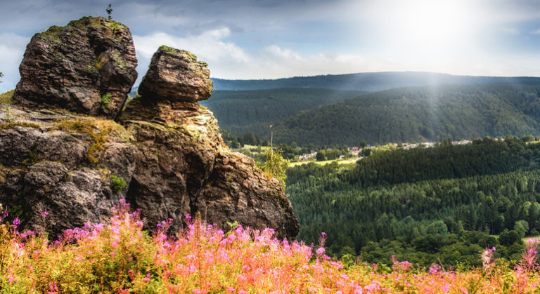 thueringen_marcohof81