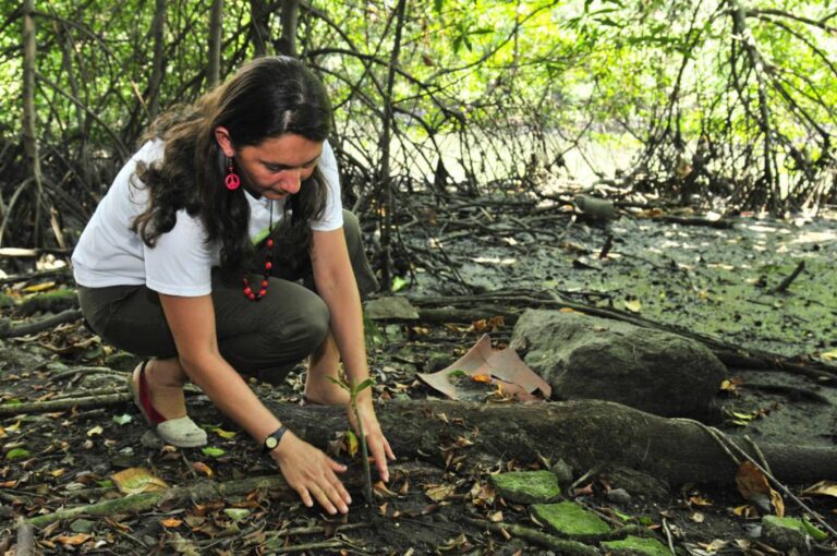 fvp270614fd09_13803144