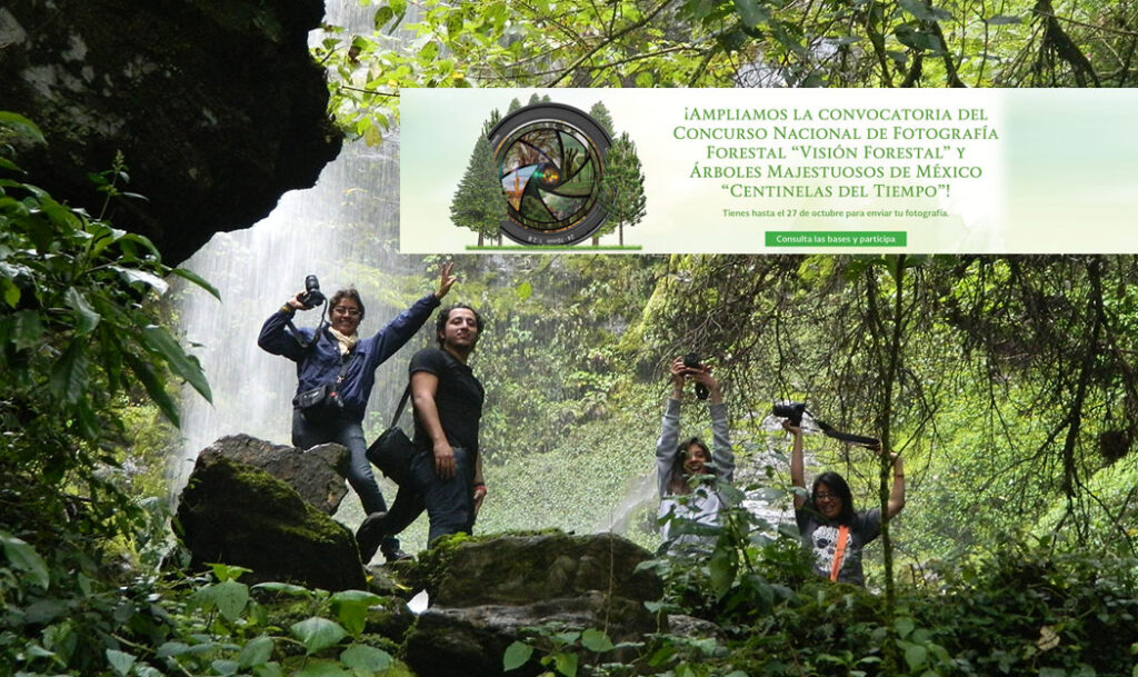 P2_ConcursoNacionalFotografi_aForestal_GobMxDocumentos