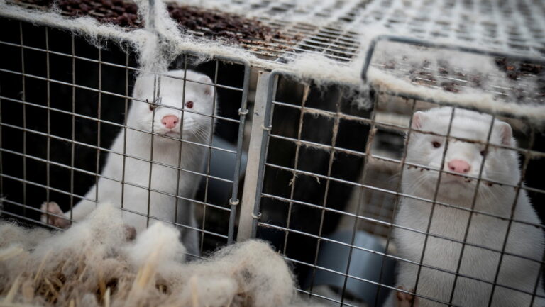 5fa93b8e59bf5b1f5f6b6b3e