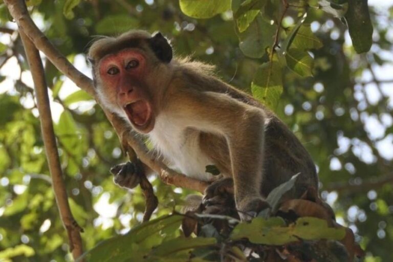 KD5KFZZIKJCXVHO35HWEOVUS7Y