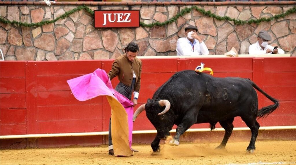 corrida-toros-mexico-1599835654091