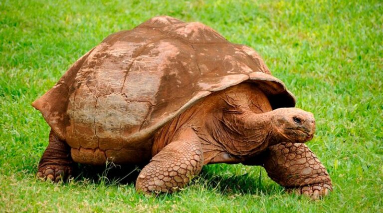 15-01-21-galapagos-800x445