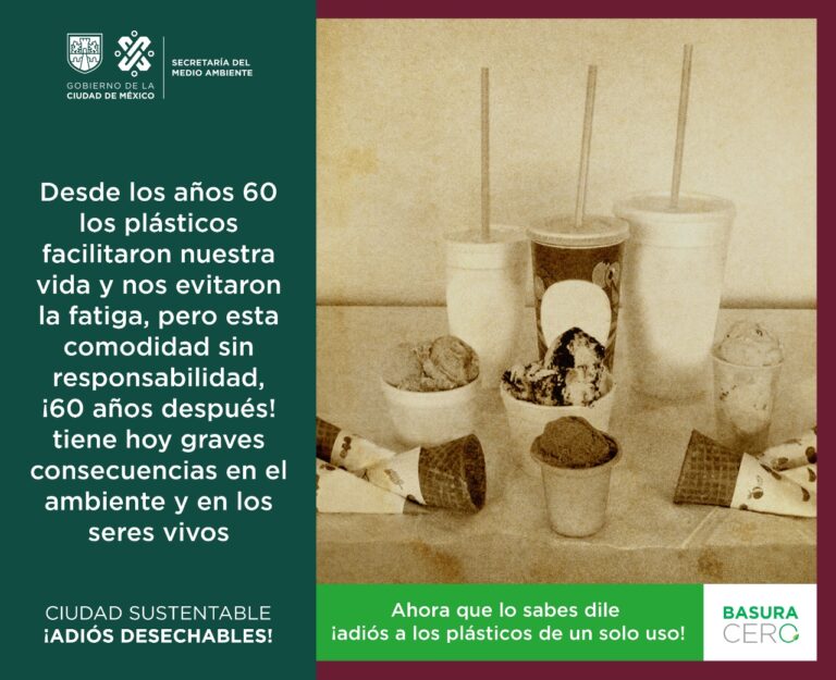 5fef450a7067f339727925