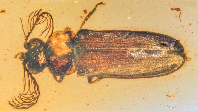 AWG4WW54YZGKHO6ROLZ6XAP6FA