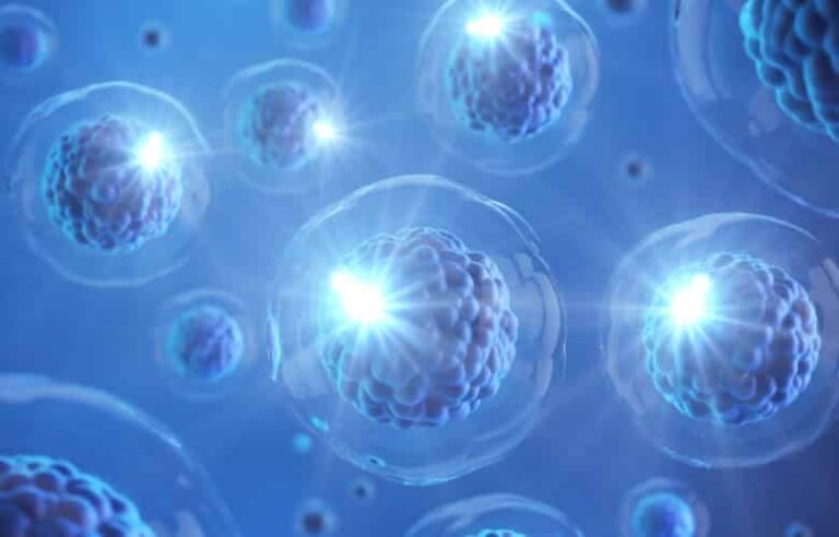 shutterstock_1194323947-1-780x500