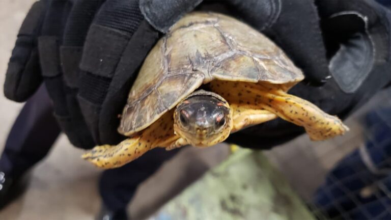 7ZWNIV565RCJ5H6JLAOSCK7LYE