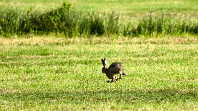 articulos_204_1537771420