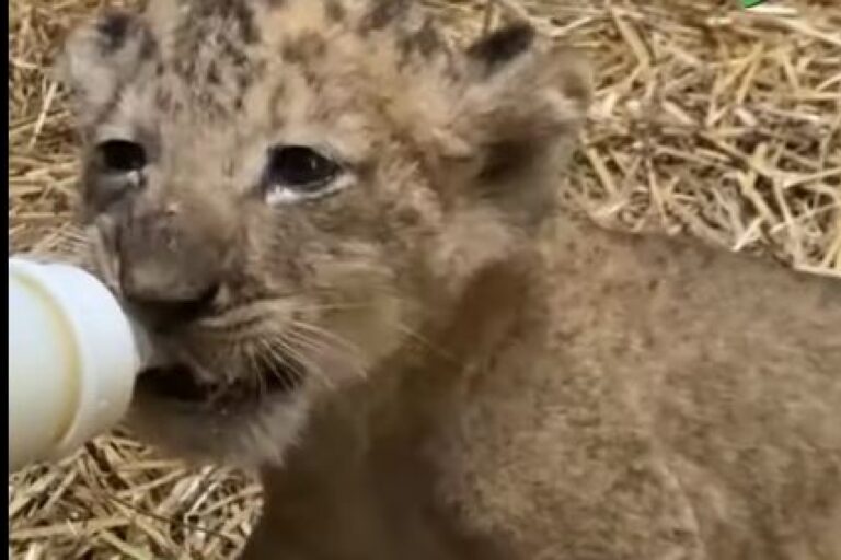 _hd2c48c9d89fac7266d7952f38d7386d494ca34802