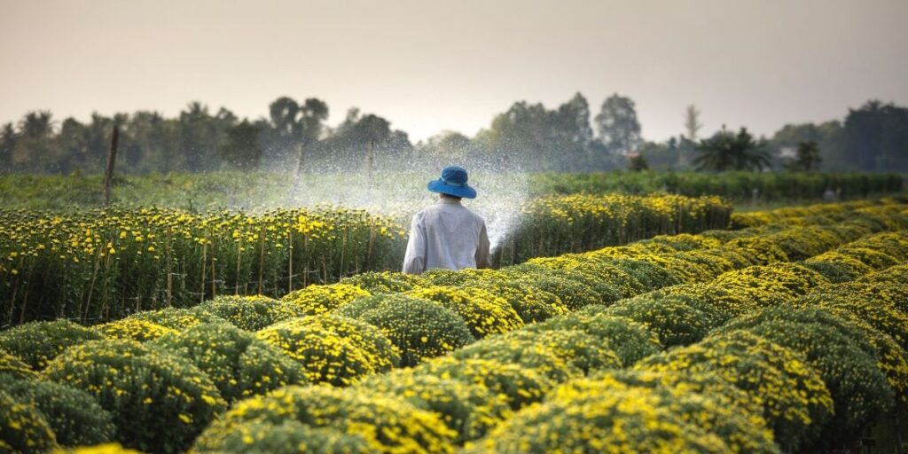 caracteristicas-del-agua-residual-para-riego
