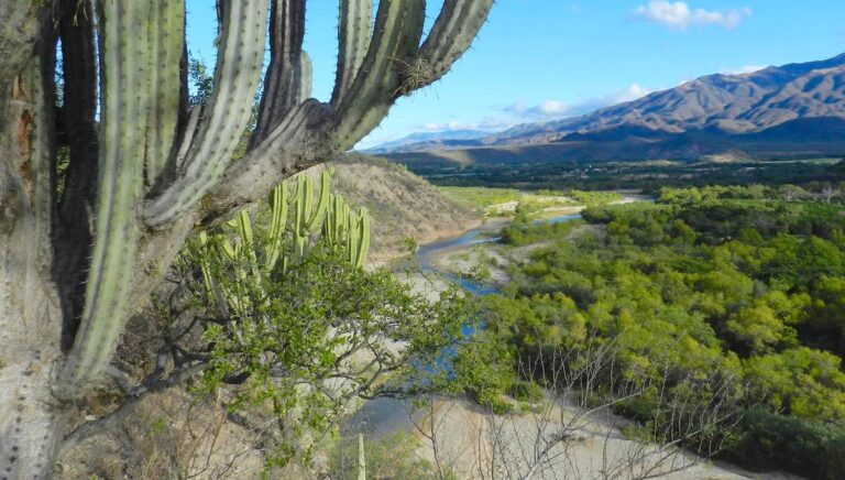 thuacan-cuicatlan-facebook-mtch-1200x680-1