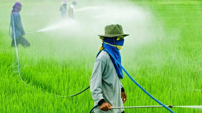 1535988333_923507_1535988455_noticia_normal