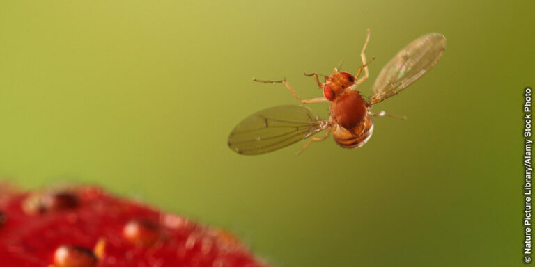 502018121_univ_lsr_xl