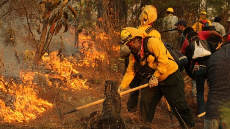 f1280x720-358131_489806_5050