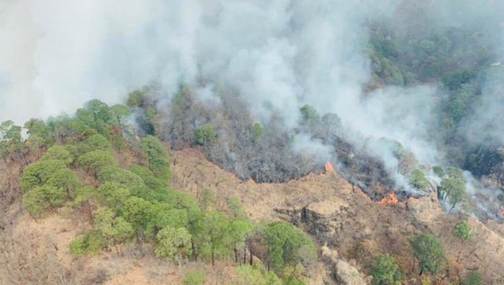 incendio-cerro-tepozteco-tepoztlan-morelos-