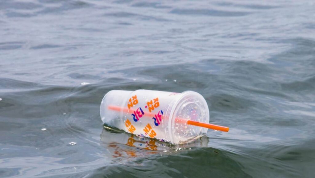 plastico-de-un-solo-uso-1