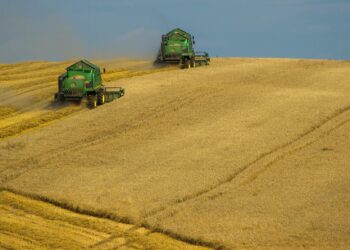 Alrededor del mundo se populariza la tendencia de adquirir predios agrícolas de acuerdo con Rodrigo Besoy.