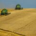 Alrededor del mundo se populariza la tendencia de adquirir predios agrícolas de acuerdo con Rodrigo Besoy.