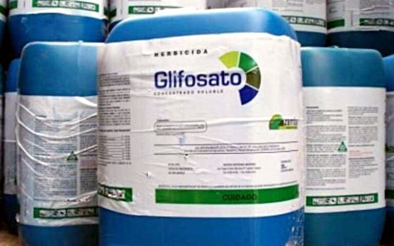 glifosato