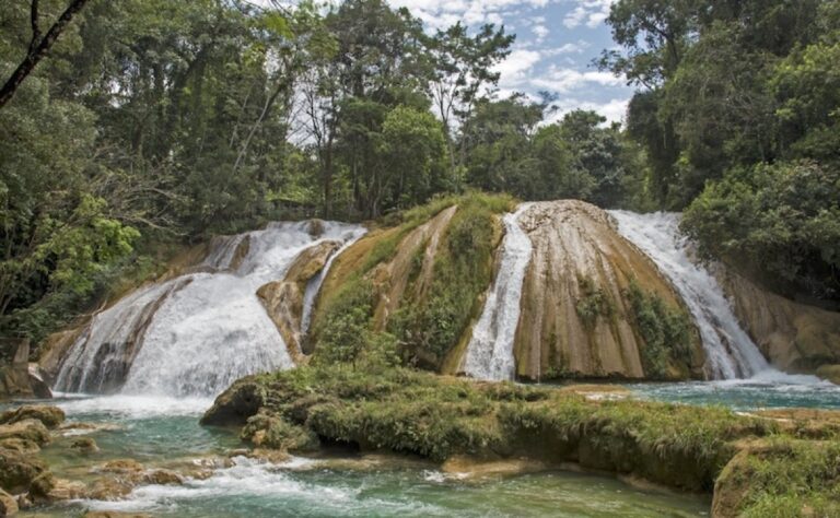 tvazteca.brightspotcdn