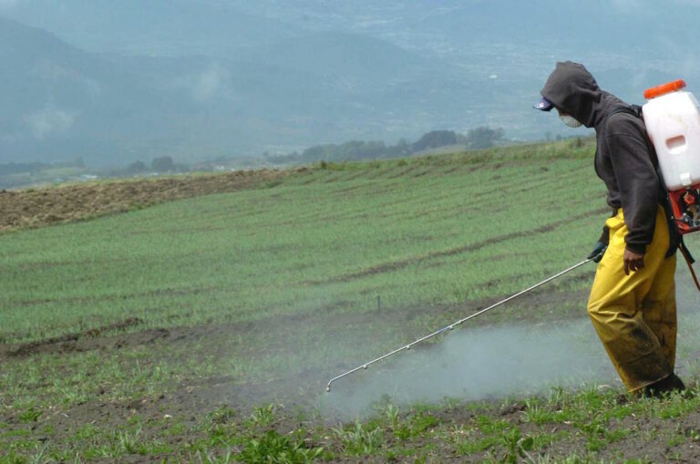 Uso de agroqueimicos_Paco
