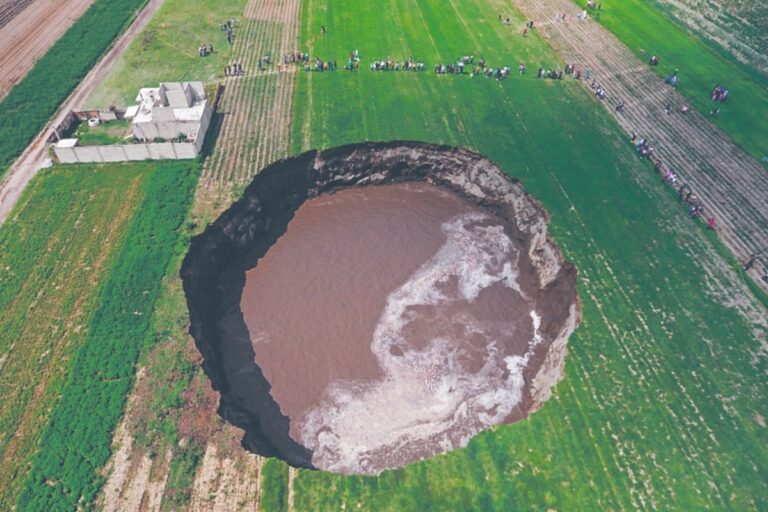 PUEBLA-AGENCIAENFOQUEOK-ok