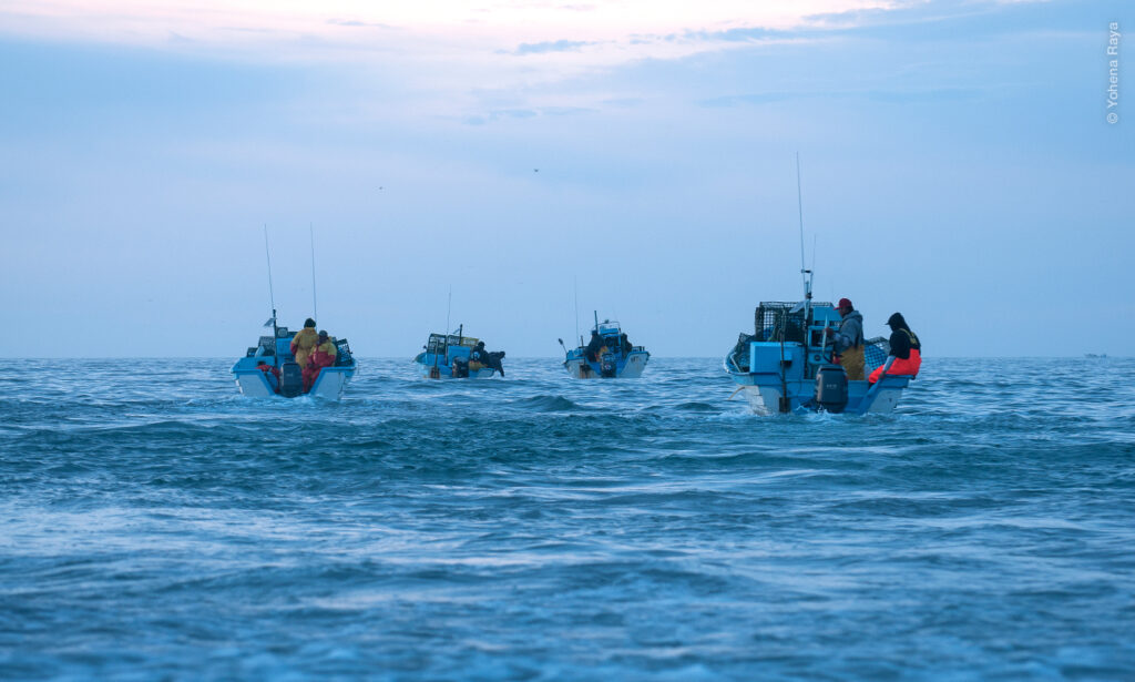 Pescadores_YR_mailing-web_0