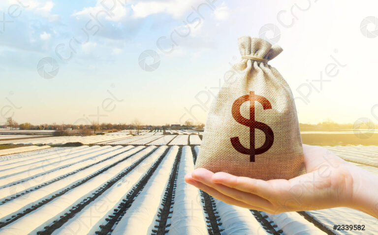 hand-holds-out-dollar-money-2339582