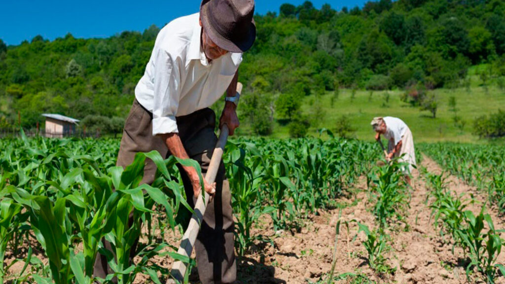 1500x844_alimentacion_sostenible_peru