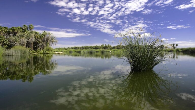 turismo-sustentable-setues-bcs-mtch-1200x680-1