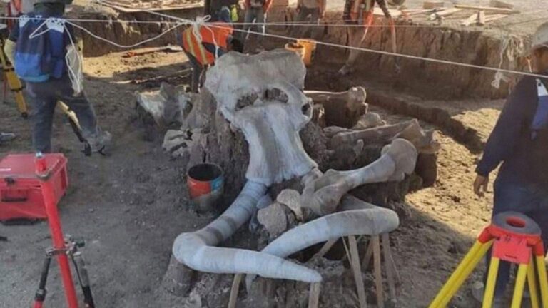 Mamuts-Hallazgos-en-Santa-Lucia-01