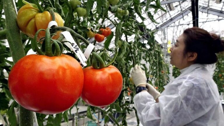 f1280x720-1112224_1243899_5050