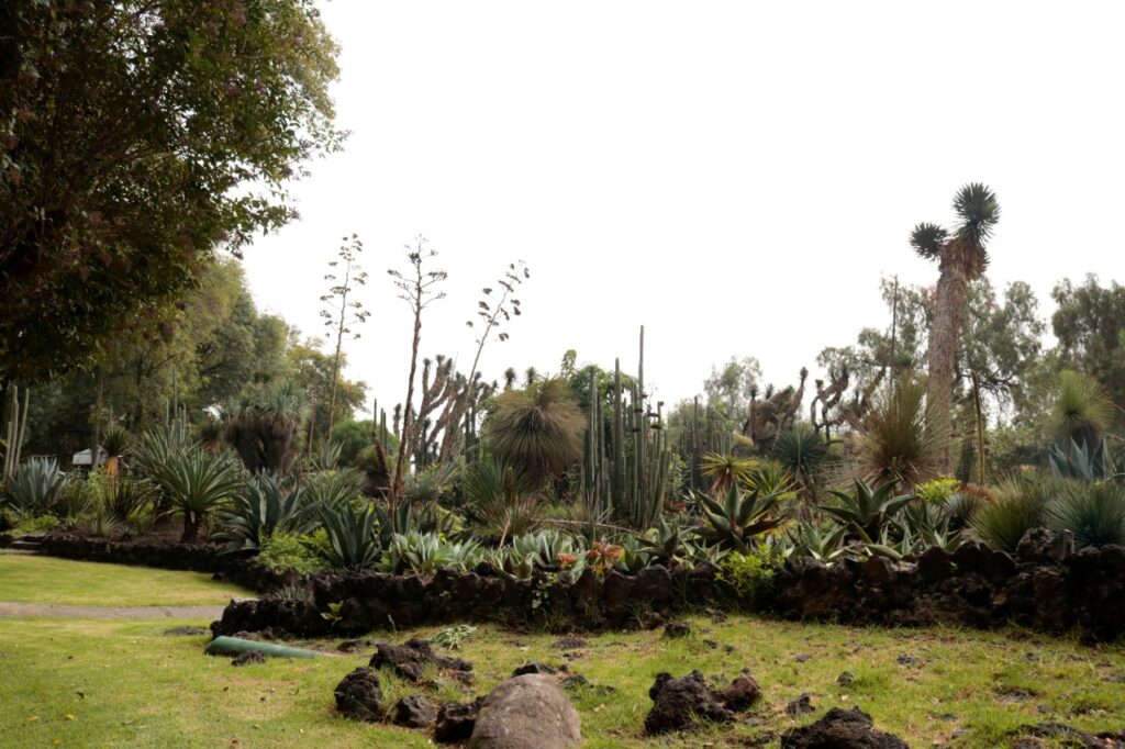 5dd5a86bc7c55022759934