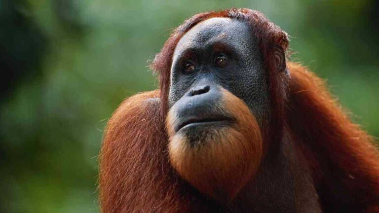 LDAFNPXNORGCPOJAG4XGYRE3C4