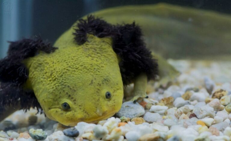 WhatsApp-Image-2019-02-11-at-6.33