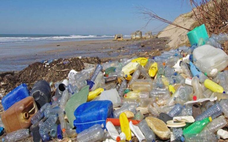 db7b8adb-14a4-4f81-8ab6-be819744f809_alta-libre-aspect-ratio_default_0