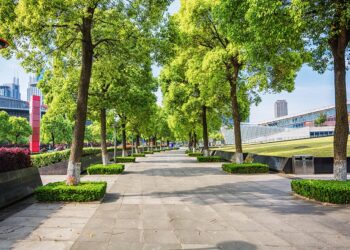 city park