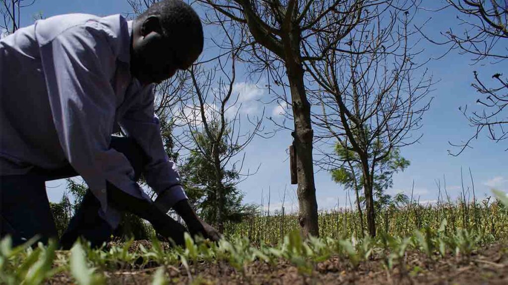 Restauración-de-los-suelos_1