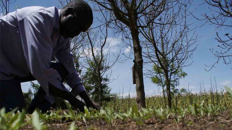 Restauración-de-los-suelos_1