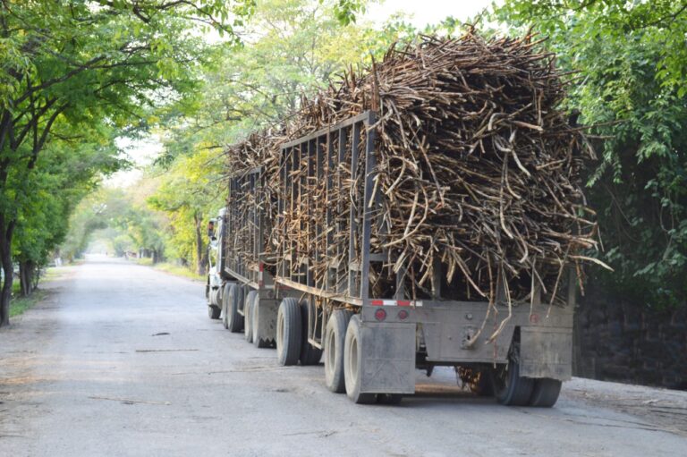 WhatsApp_Image_2022-03-14_at_6.56