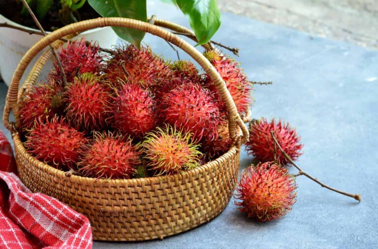 rambutan