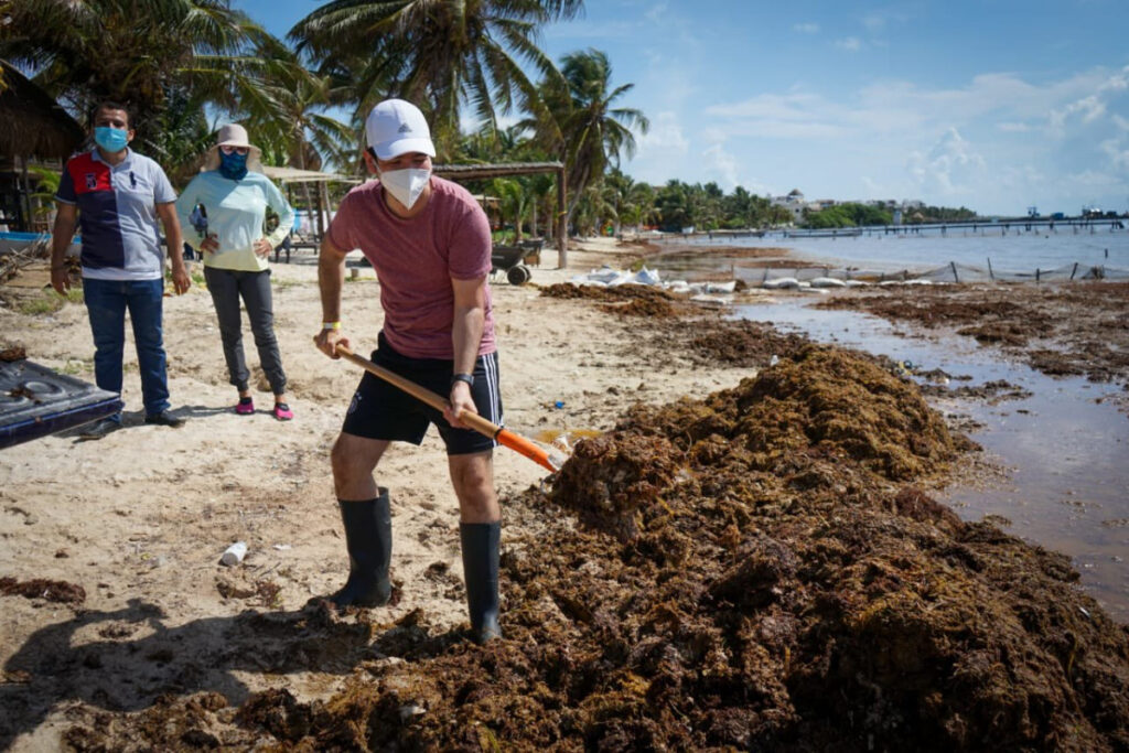 L_173147_sargazo-mahahual