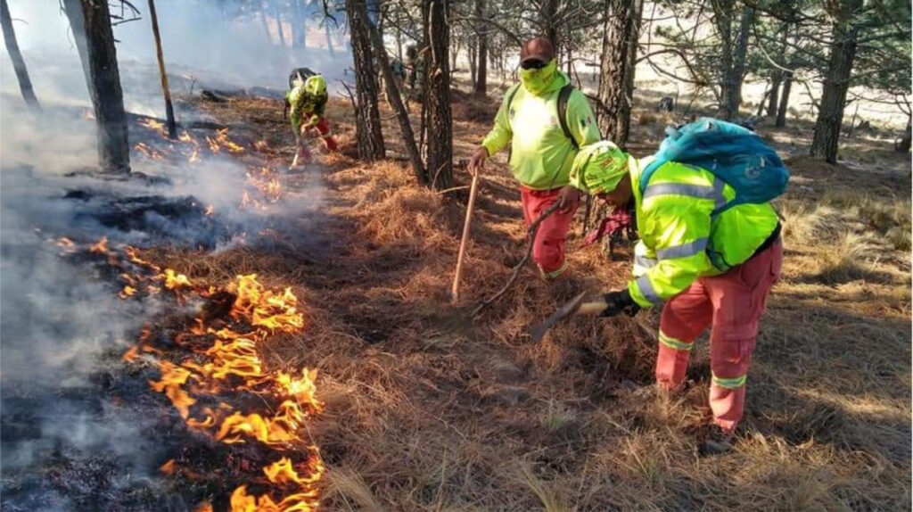 incendios-NL-scaled-e1616121730648
