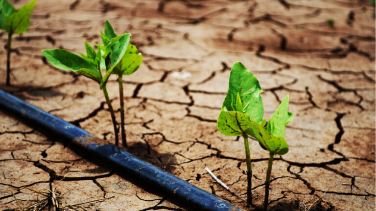 produccion-de-alimentos-cambio-climatico