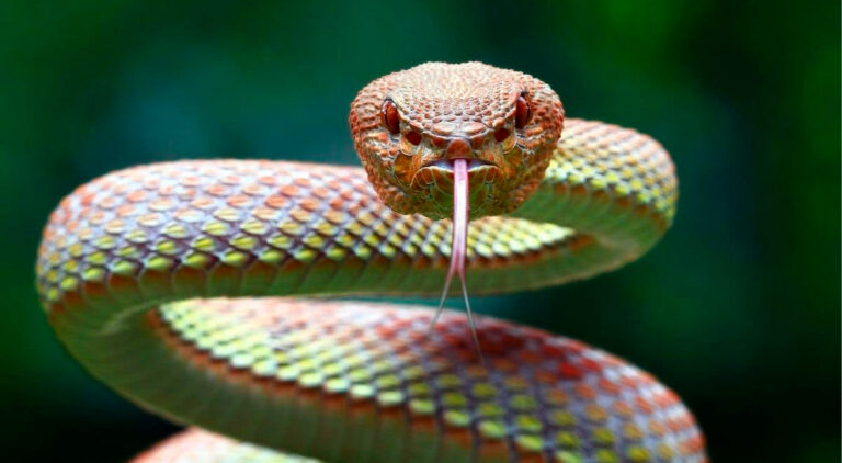 60cd56e2318460368e29cbe5