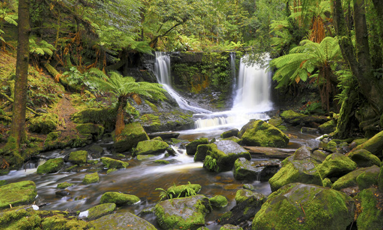 Australia_Forests_Waterfalls_Stones_Horseshoe_582368_1280x769