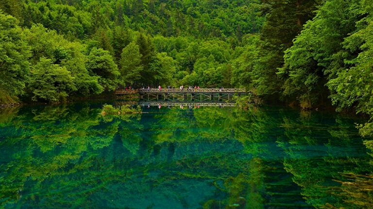 China_Lake_Bridges_448956