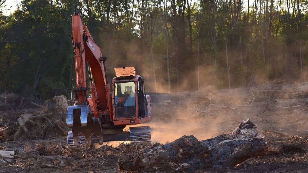 Deforestación, referencia - Pixabay